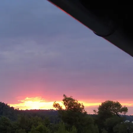 Peristeridi * 폴리크로노