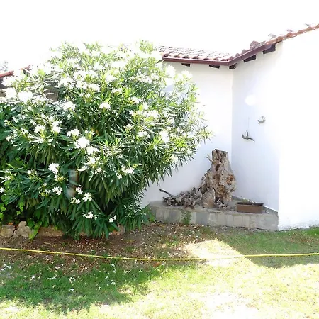 Peristeridi 아파트 폴리크로노