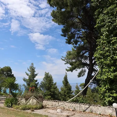 Peristeridi * Πολύχρονο