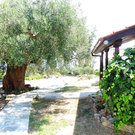 Apartment Peristeridi Polychrono