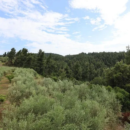 Peristeridi * Polychrono