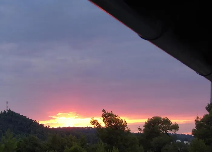 Magia Peristeridi * 波利克罗诺