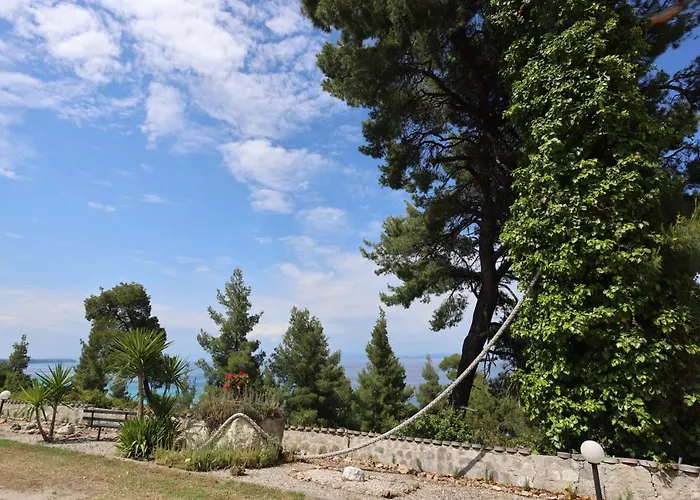 Magia Peristeridi * 波利克罗诺