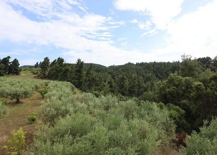 Magia Peristeridi * 波利克罗诺