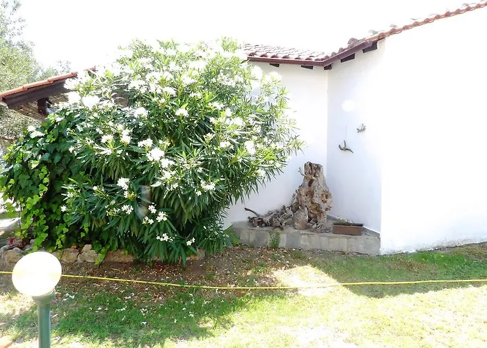 Magia Peristeridi 公寓 波利克罗诺